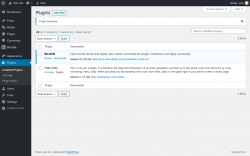 Page screenshot: Plugins &lsaquo; Test site &mdash; WordPress