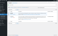 Page screenshot: Plugins &lsaquo; Test site &mdash; WordPress