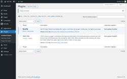 Page screenshot: Plugins &lsaquo; Test site &mdash; WordPress