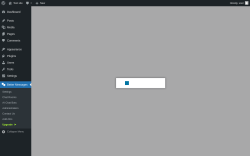 Page screenshot: Better Messages → Upgrade  ➤