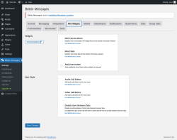 Page screenshot: Better Messages → Mini Widgets