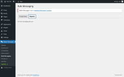 Page screenshot: Better Messages &rarr; Bulk Messaging &rarr; Reports