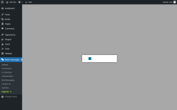 Page screenshot: Better Messages &rarr; Upgrade&nbsp;&nbsp;➤