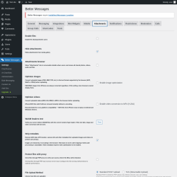 Page screenshot: Better Messages &rarr; Attachments
