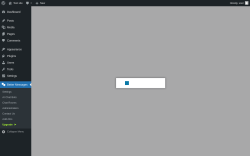 Page screenshot: Better Messages &rarr; Upgrade&nbsp;&nbsp;➤