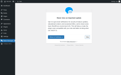 Page screenshot: Better Messages ‹ Test site — WordPress