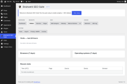 Page screenshot: Brainwerk SEO Suite &rarr; 
                                    Visitors                                