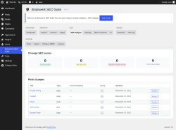 Page screenshot: Brainwerk SEO Suite &rarr; 
                                    SEO Analyzer                                