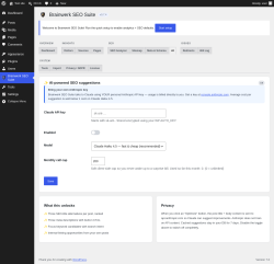 Page screenshot: Brainwerk SEO Suite &rarr; 
                                    AI                                