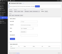 Page screenshot: Brainwerk SEO Suite &rarr; 
                                    Redirects                                