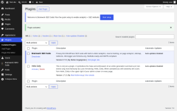 Page screenshot: Plugins &lsaquo; Test site &mdash; WordPress