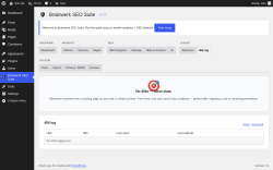 Page screenshot: Brainwerk SEO Suite &rarr; 
                                    404 Log                                