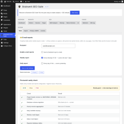 Page screenshot: Brainwerk SEO Suite &rarr; 
                                    Tools                                