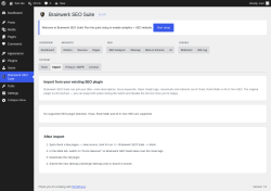 Page screenshot: Brainwerk SEO Suite &rarr; 
                                    Import                                