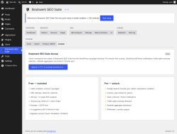 Page screenshot: Brainwerk SEO Suite &rarr; 
                                    License                                