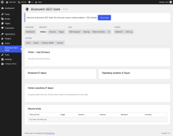 Page screenshot: Brainwerk SEO Suite &rarr; 
                                    Visitors                                