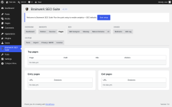 Page screenshot: Brainwerk SEO Suite &rarr; 
                                    Pages                                