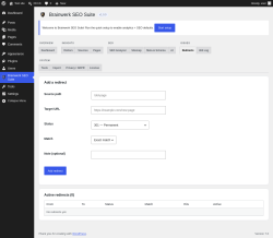Page screenshot: Brainwerk SEO Suite &rarr; 
                                    Redirects                                