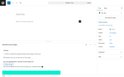 Page screenshot: Add Post ‹ Test site — WordPress