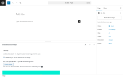Page screenshot: Add Page ‹ Test site — WordPress