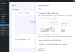 Page screenshot: Brave → Analytics