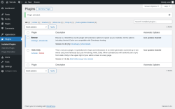Page screenshot: Plugins &lsaquo; Test site &mdash; WordPress