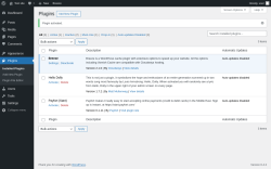 Page screenshot: Plugins &lsaquo; Test site &mdash; WordPress