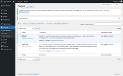 Page screenshot: Plugins ‹ Test site — WordPress