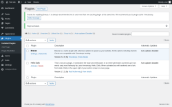 Page screenshot: Plugins &lsaquo; Test site &mdash; WordPress