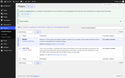 Page screenshot: Plugins &lsaquo; Test site &mdash; WordPress