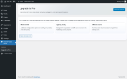 Page screenshot: BrenWP Safe Mode &rarr; Upgrade to Pro