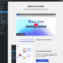 Page screenshot: Brizy → Getting Started