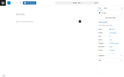 Page screenshot: Add Post ‹ Test site — WordPress