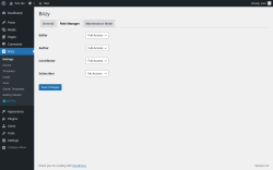 Page screenshot: Brizy &rarr; Role Manager