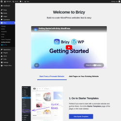 Page screenshot: Brizy &rarr; Getting Started