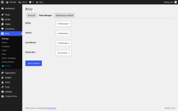Page screenshot: Brizy &rarr; Role Manager