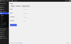 Page screenshot: Brizy &rarr; Role Manager