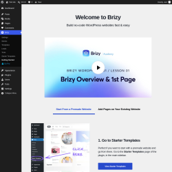 Page screenshot: Brizy &rarr; Getting Started