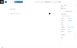 Page screenshot: Add Post &lsaquo; Test site &mdash; WordPress