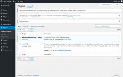 Page screenshot: Plugins &lsaquo; Test site &mdash; WordPress