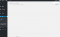 Page screenshot: Tools &rarr; Broken Links