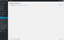 Page screenshot: Tools &rarr; Broken Links
