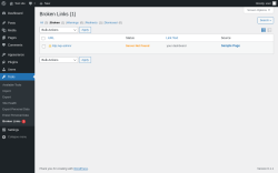 Page screenshot: Tools &rarr; Broken Links 