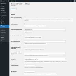 Page screenshot: Broken Link Notifier &rarr; Settings