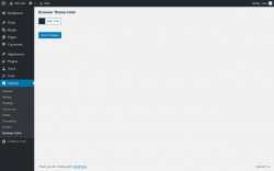 Page screenshot: Settings &rarr; Browser Color