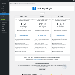 Page screenshot: Split Pay &rarr; Upgrade&nbsp;&nbsp;➤