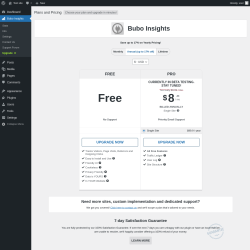 Page screenshot: Bubo Insights → Upgrade  ➤