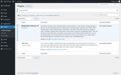 Page screenshot: Plugins &lsaquo; Test site &mdash; WordPress