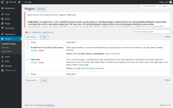 Page screenshot: Plugins ‹ Test site — WordPress