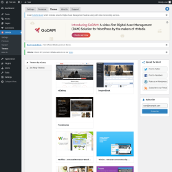 Page screenshot: rtMedia → Themes